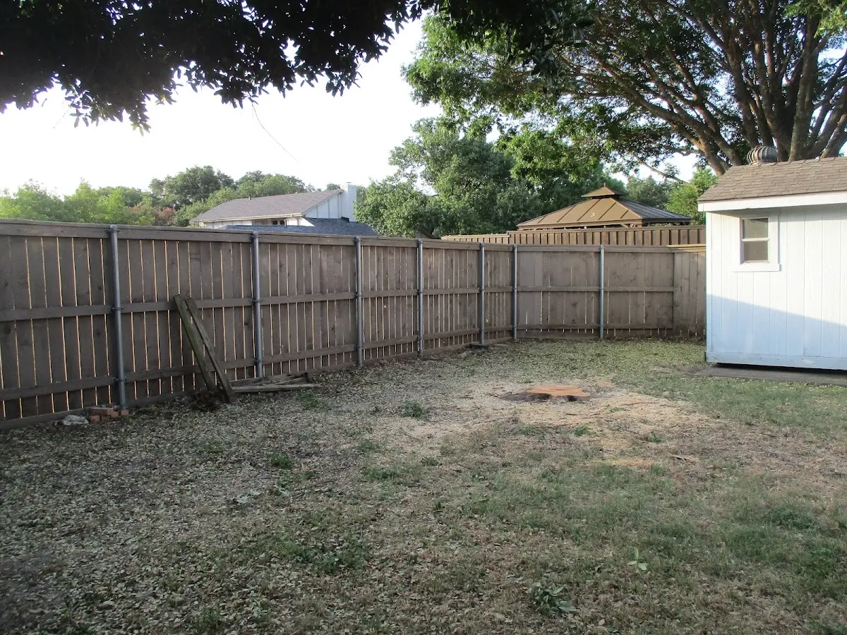 Cleared yard after professional tree removal in Allenhurst